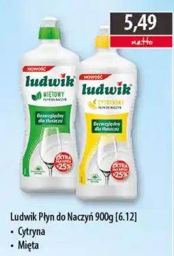 DUO-TES Ludwik Płyn do Naczyń oferta