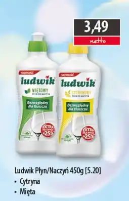 DUO-TES Ludwik Płyn/Naczyń oferta