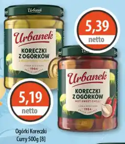 DUO-TES Ogórki Koreczki Curry oferta