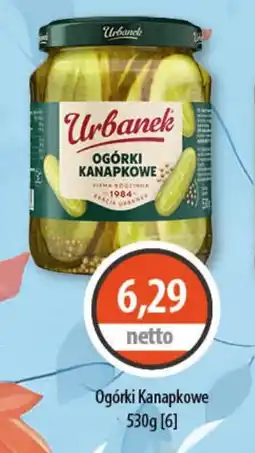 DUO-TES Ogórki Kanapkowe Urbanek oferta