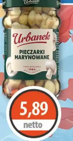 DUO-TES Pieczarki Marynowane Urbanek oferta