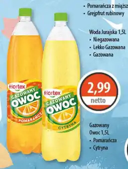 DUO-TES Hortex Gazowany Owoc oferta