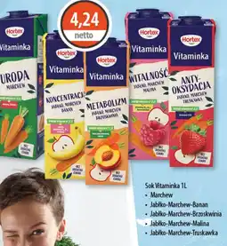 DUO-TES Sok Vítamínka oferta