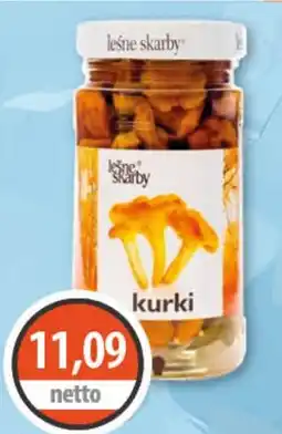 DUO-TES leśne skarby kurki oferta