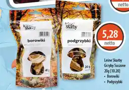 DUO-TES Leśne Skarby Grzyby Suszone oferta