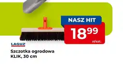 Mrówka Szczotka Hit oferta