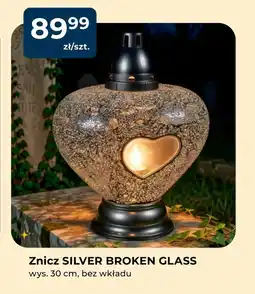 Mrówka Znicz Silver oferta