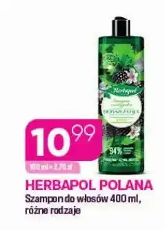 Koliber drogerie Szampon do włosów Herbapol Polana oferta