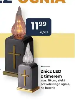 Mrówka Znicz LED z timerem Koopman International oferta