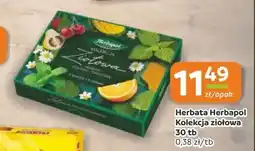 Gama Herbata Herbapol Kolekcja ziołowa oferta