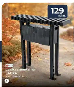 Mrówka Ławka cmentarna Laura Oler oferta