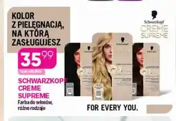 Koliber drogerie Farba do włosów Schwarzkopf Creme Supreme oferta