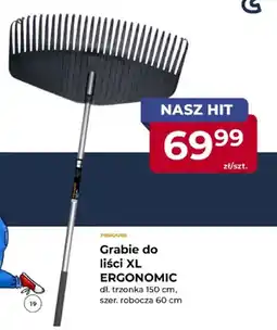 Mrówka Grabie do liści Xl Ergonomic Fiskars oferta
