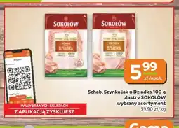 Gama Schab jak u Dziadka plastry Sokołów oferta
