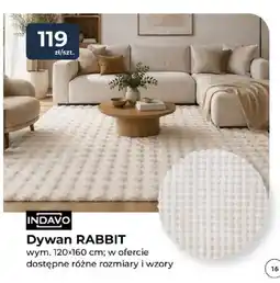Mrówka Dywan Rabbit 120x160 cm Indavo oferta