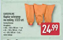 ALDI Kaptur ochronny na rośliny Xxl 240x200 cm Gardenline oferta