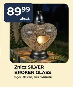 Mrówka Znicz Silver Broken Glass oferta