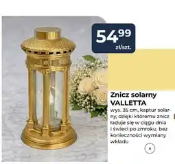 Mrówka Znicz solarny Valletta oferta