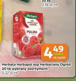 Gama Herbata Herbapol exp Herbaciany Ogród malina oferta
