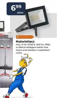 Mrówka Naświetlacz oferta