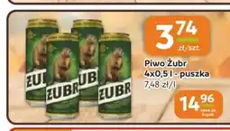 Gama Piwo Żubr 4-pak oferta
