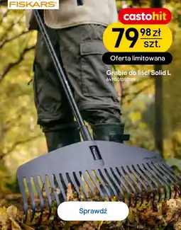 Castorama Grabie do liści Solid L oferta