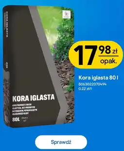 Castorama Kora iglasta oferta
