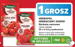 Kaufland Herbapol Herbaciany Ogród oferta