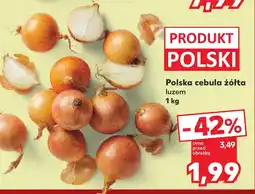 Kaufland Polska cebula żółta oferta