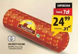 Arhelan Ser Żółty Salami Mlekpolski oferta