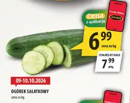 Arhelan Ogórek Sałatkowy oferta