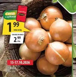 Arhelan Cebula oferta