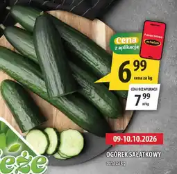 Arhelan Ogórek Sałatkowy oferta