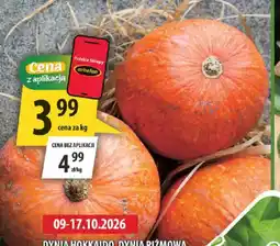 Arhelan Dynia Hokkaido, Dynia Piżmowa oferta