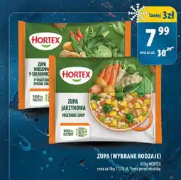 Arhelan Zupa Jarzynowa Hortex oferta