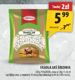 Arhelan Fasola Jas Średnia Polgreen oferta