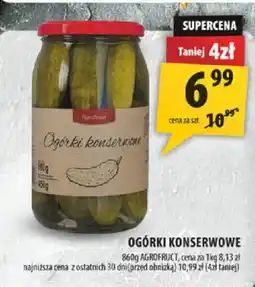 Arhelan Ogórki konserwowe Agrofruct oferta