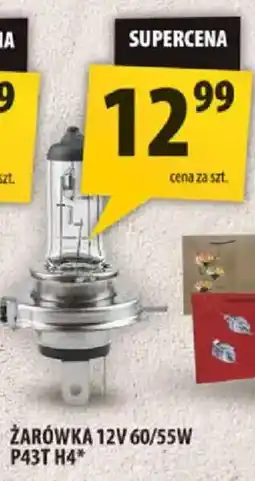 Arhelan Żarówka 12V 60/55W P43T H4* oferta