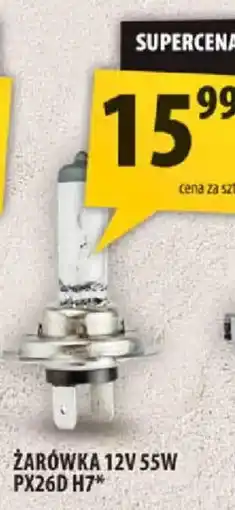 Arhelan Żarówka PX26D H7 oferta