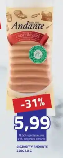 Hildebrandt Biszkopty Andante oferta
