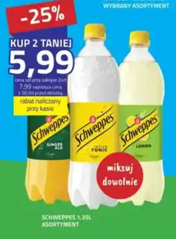 Hildebrandt Schweppes Asortyment oferta