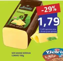 Hildebrandt Ser Gouda Serovia Lumiko oferta