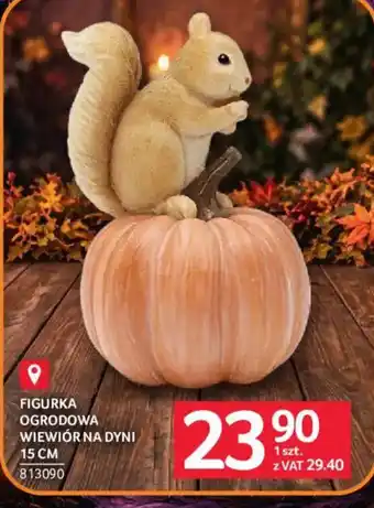 Figurka Ogrodowa Wiewiór na Dyni