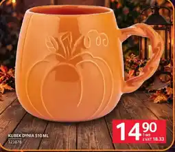 Selgros Kubek Dynia oferta