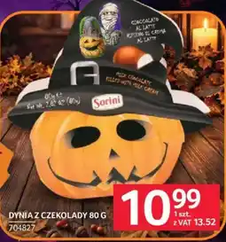 Selgros Dynia z czekolady Sorini oferta
