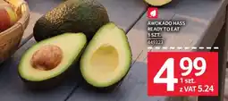 Selgros Awokado Hass oferta