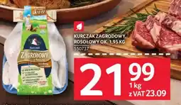 Selgros Kurczak Zagrodowy oferta