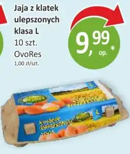 Sklepy S Jaja z klatek ulepszonych klasa L oferta
