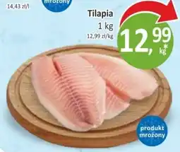 Sklepy S Tilapia oferta