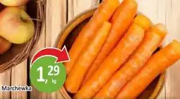 Sklepy S Marchewka oferta